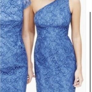 Jcrew Wedding Collection Alexa Leavers Lace One-Shoulder Blue Dress size 4